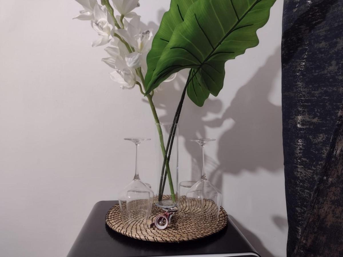 Vatican Luxury Apartment — Photos 3